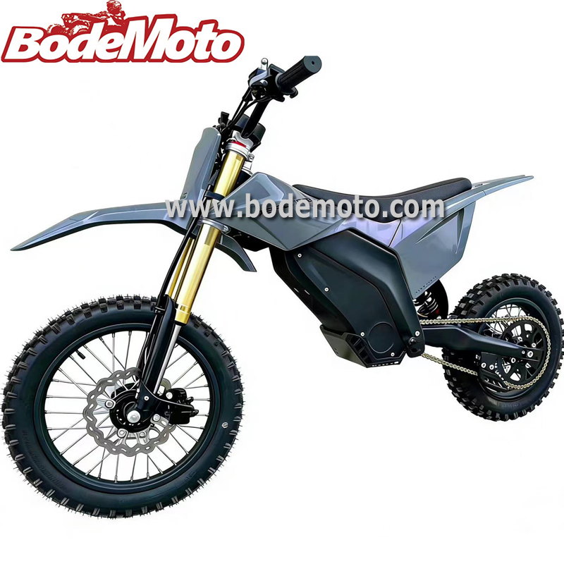 Fashion Cool 3000W E-Bike with Lithium Battery High Speed Sports E-Motorcycle