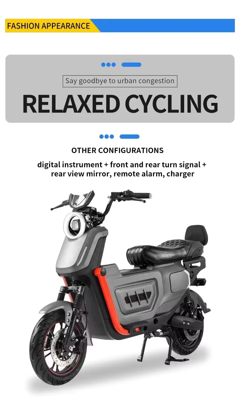 Electric Bike Front View