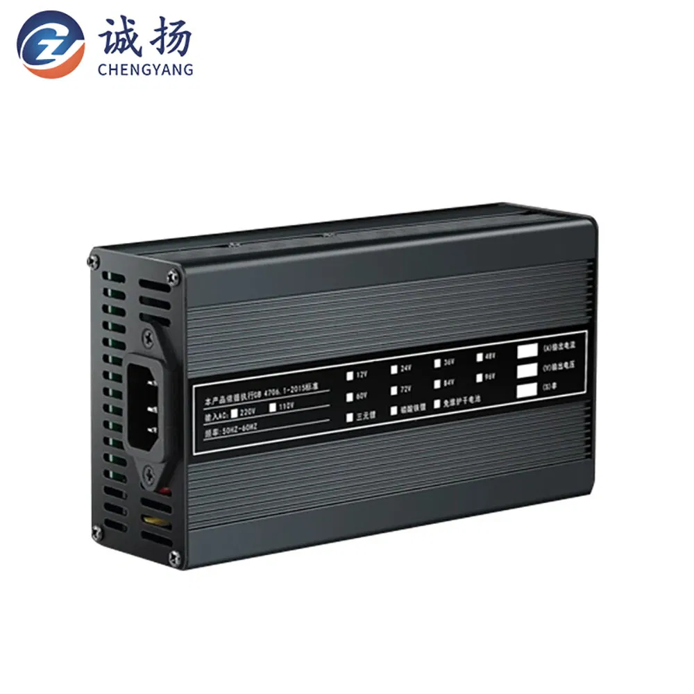 Smart Charger View 13