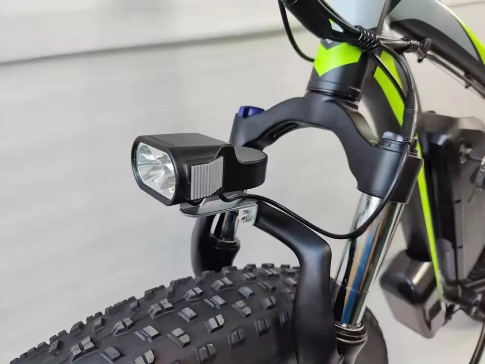 E-bike details