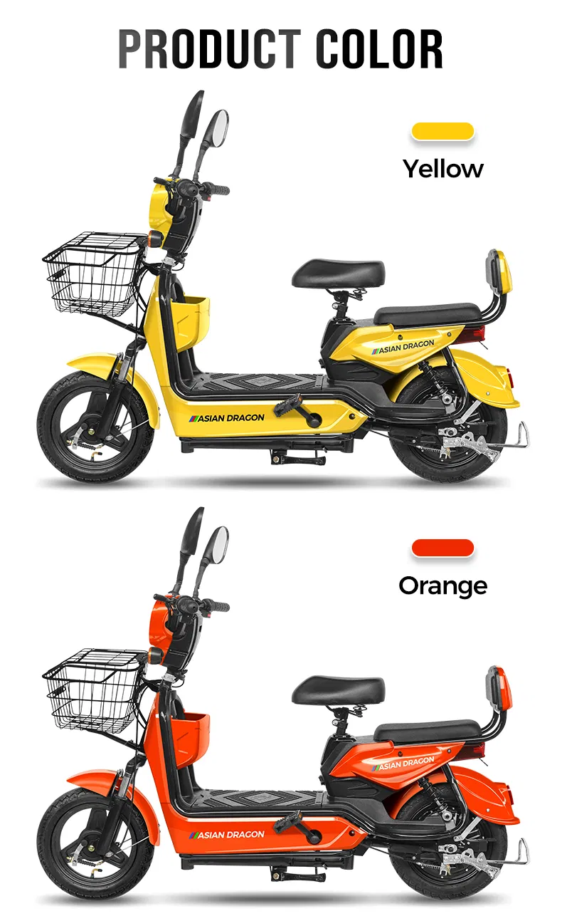 Electric Bike Safety