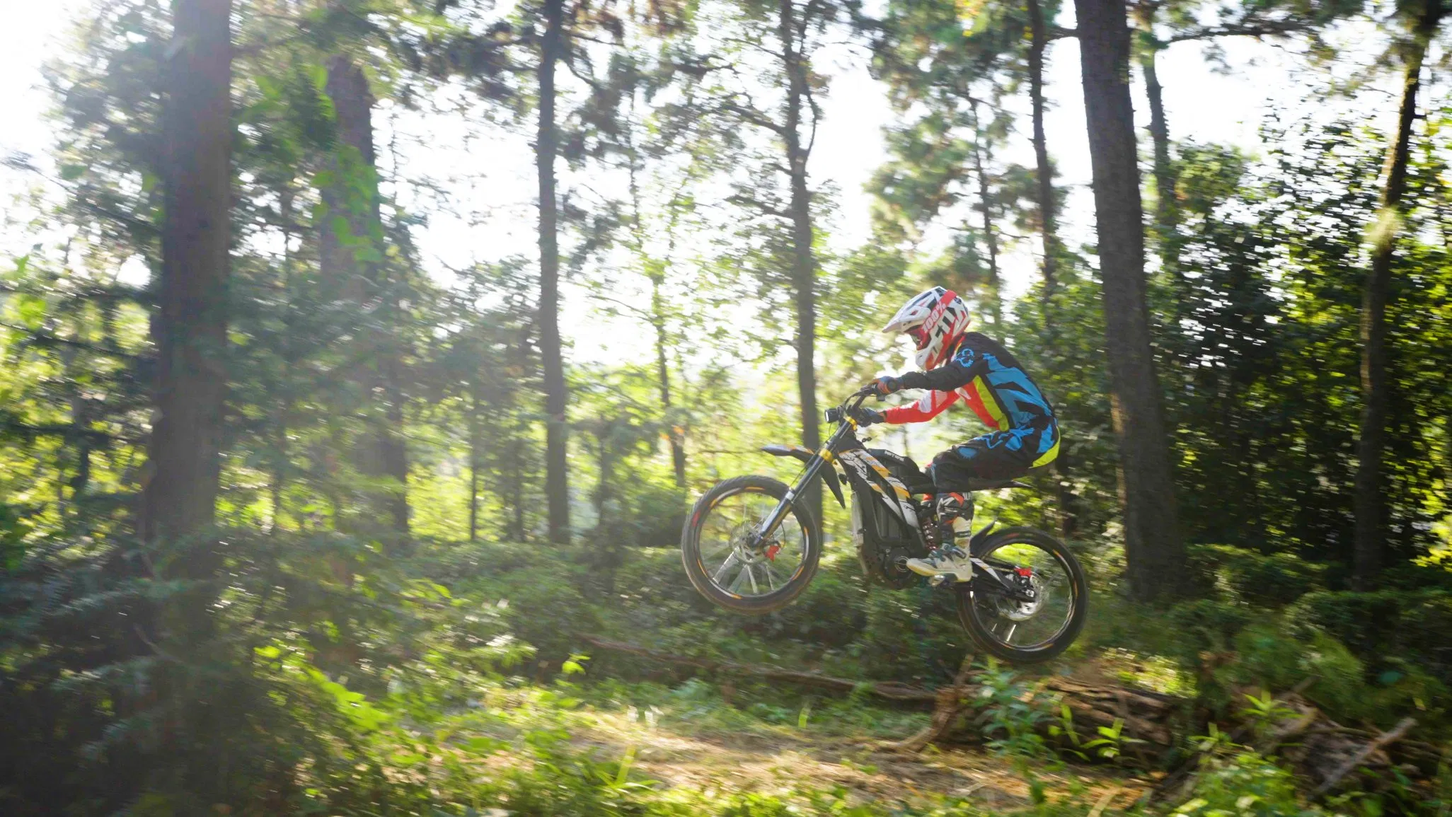 M300 3000W 6000W Ebike E Motorcycle Adult Electric Bicycle Electric Dirt Bike