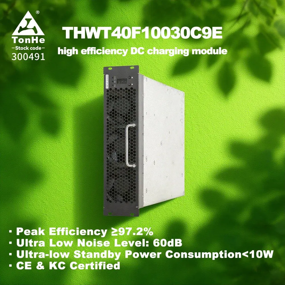 30kw CE Certificate Tonhe CCS Chademo EV DC Charging Module AC to DC Converter Output DC 30kw and up to 1000V