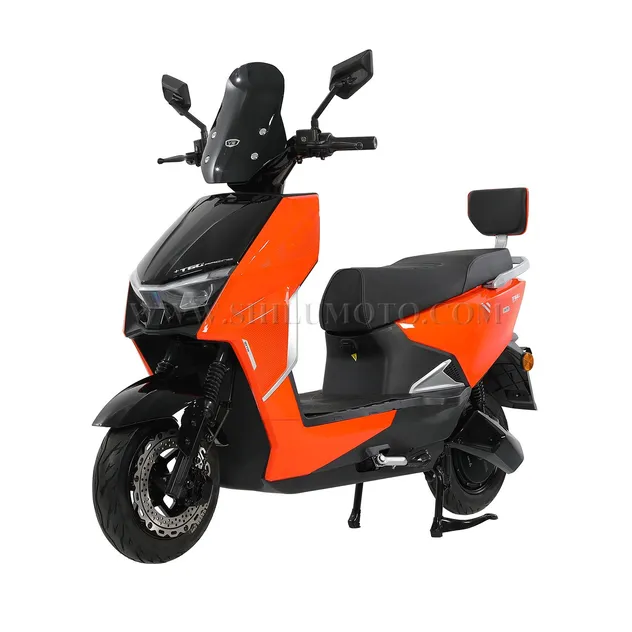 Electric Scooter Model 2