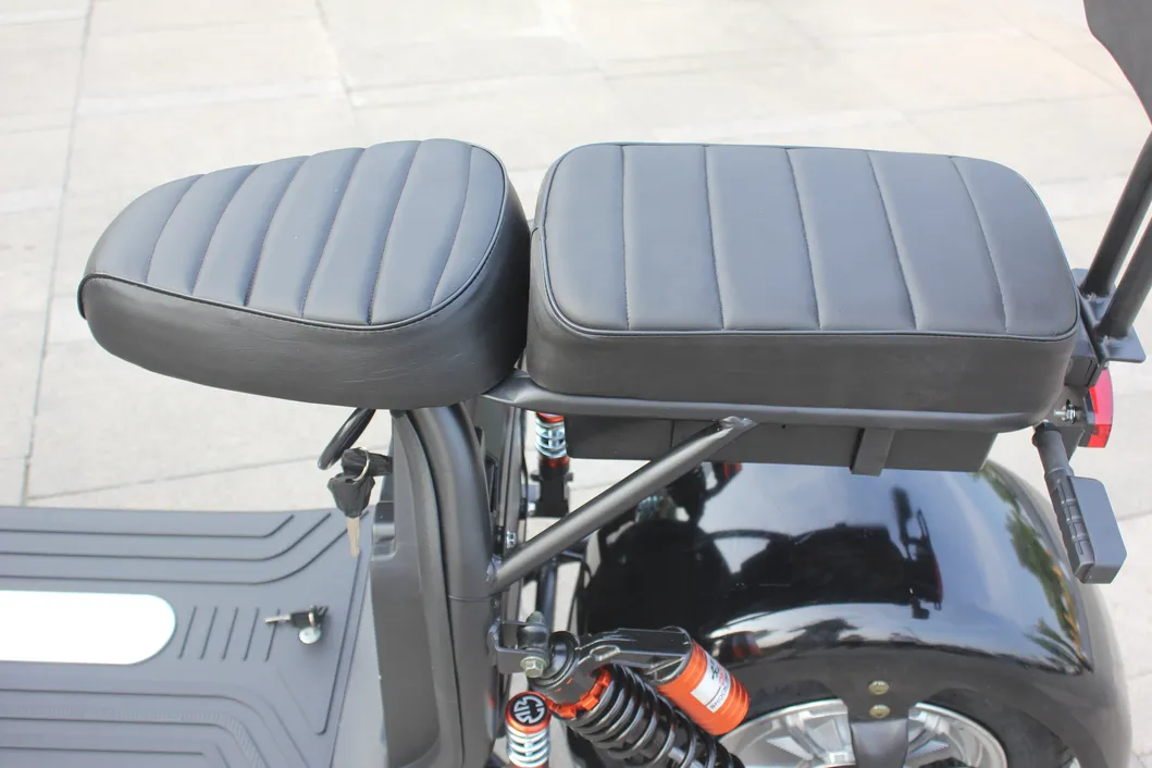 Electric Scooter Brake