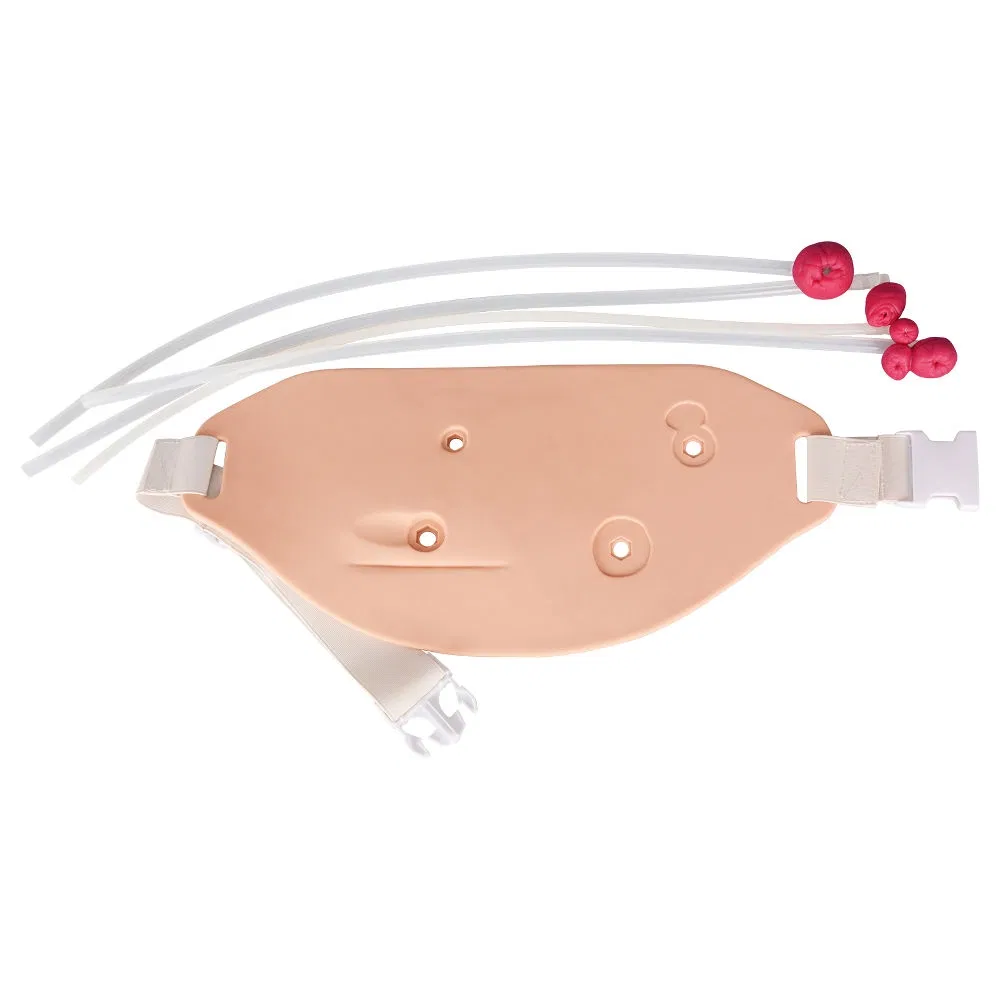 Wearable Stoma Care Model, Ostomy Procedure Training Kit Simulation System