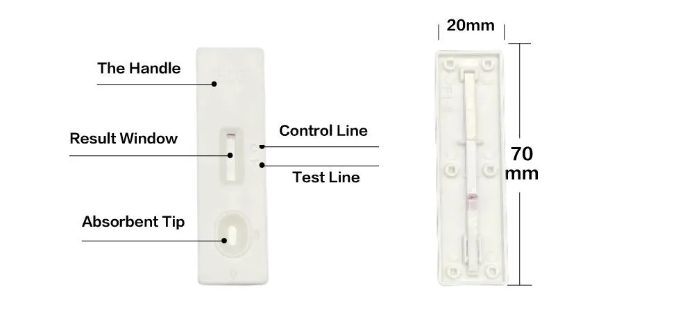 Rapid Diagnostic Test Kit Cassette