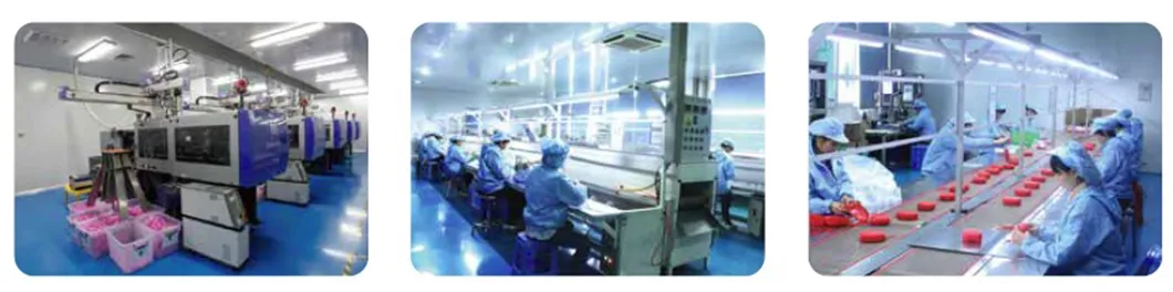 Quality Standards and Certification