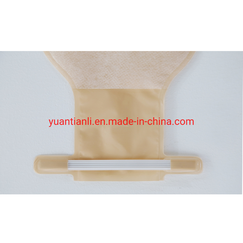 One-Piece System Colostomy Bag Adhesives Medicals Drainable Pouch Colostomy Bag Ostomy Health Care