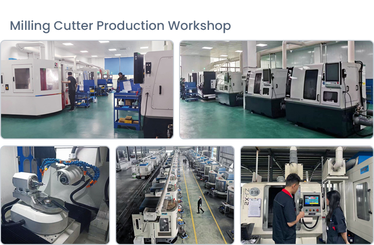 Company Workshop 2
