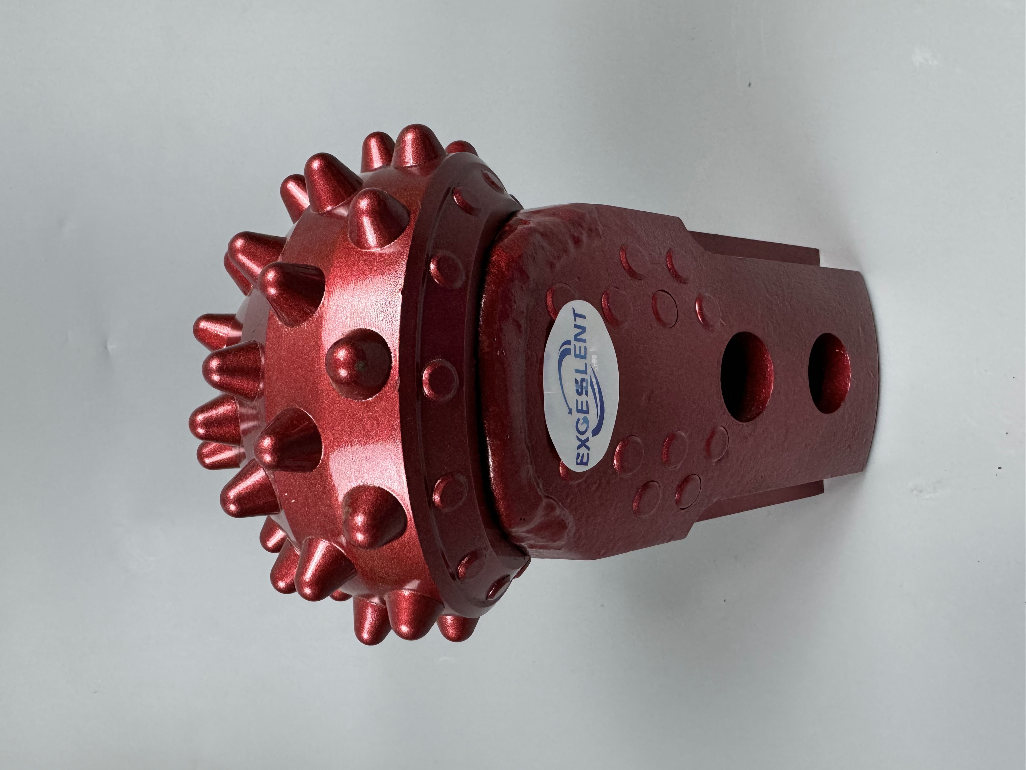 Roller Palm Front View