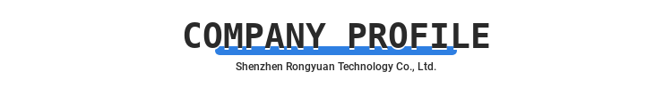 Company Introduction Divider