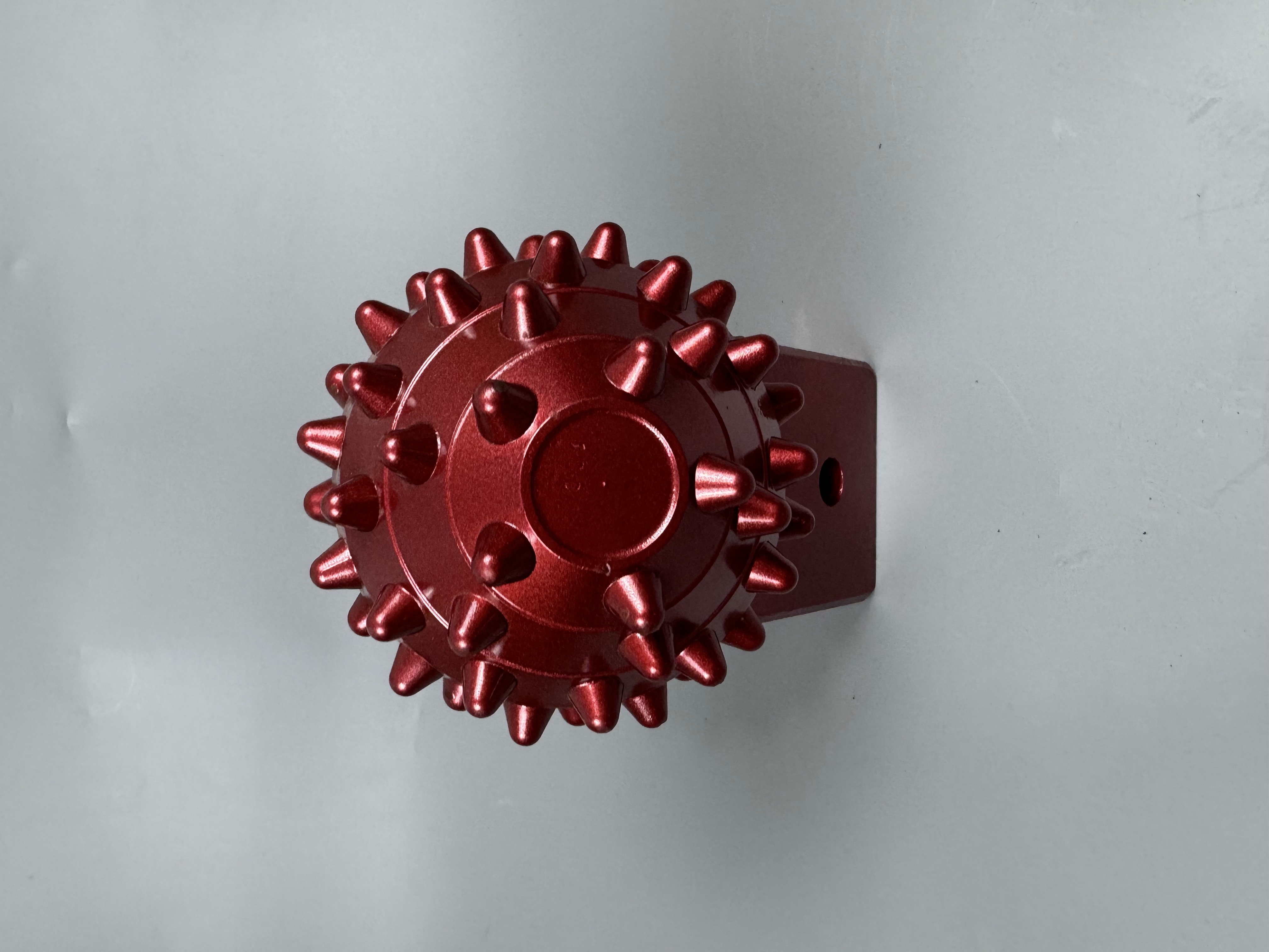 Roller Palm Side View