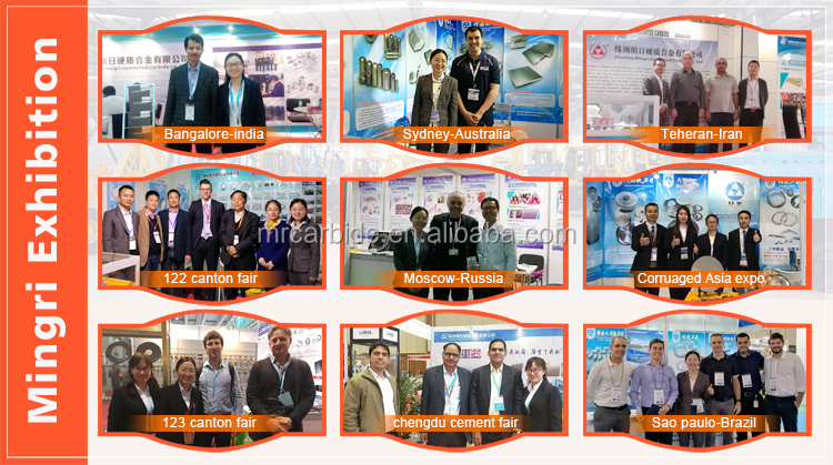 Team and Professional Technical Exhibitions