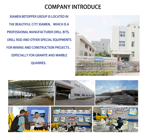 Company Infrastructure and Factory Profile