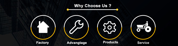 About Us Office and Team