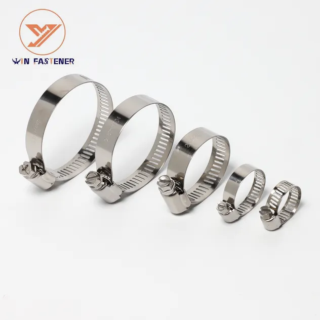 Hose Clamp Variety 3