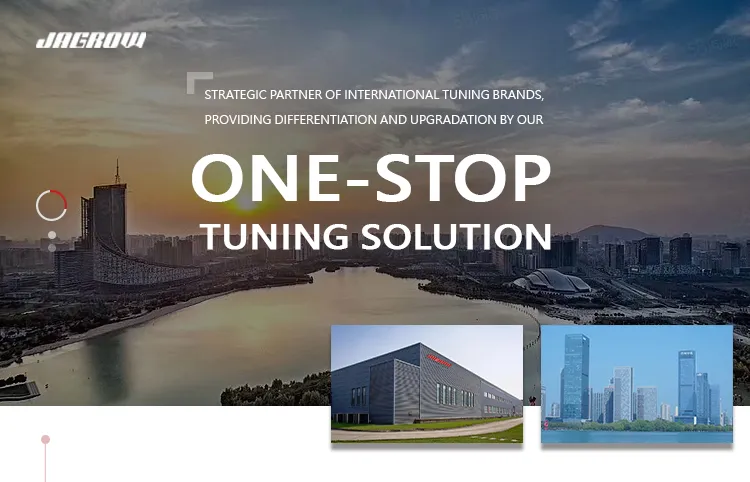 Silicone Hose Detail