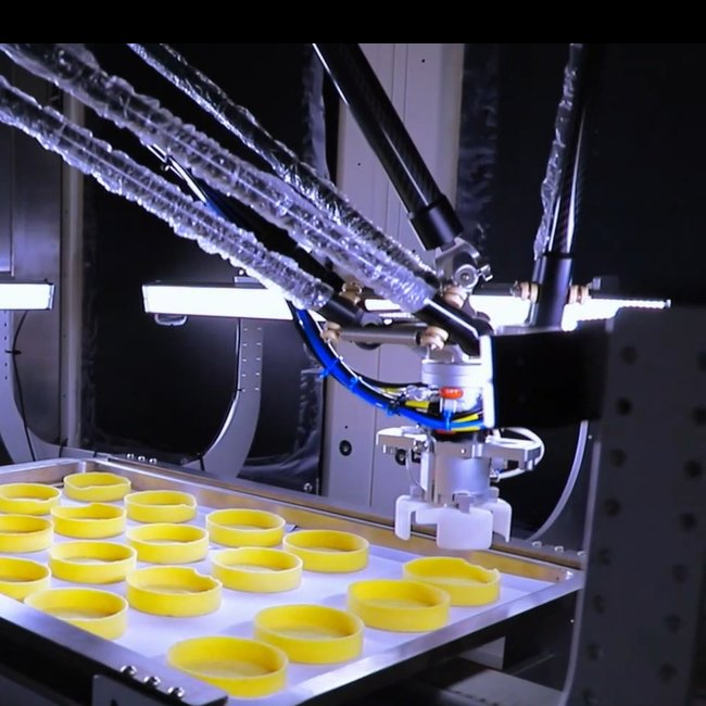 Automatic Delta Robot Case Packer for Food Grade Hygienic Lines