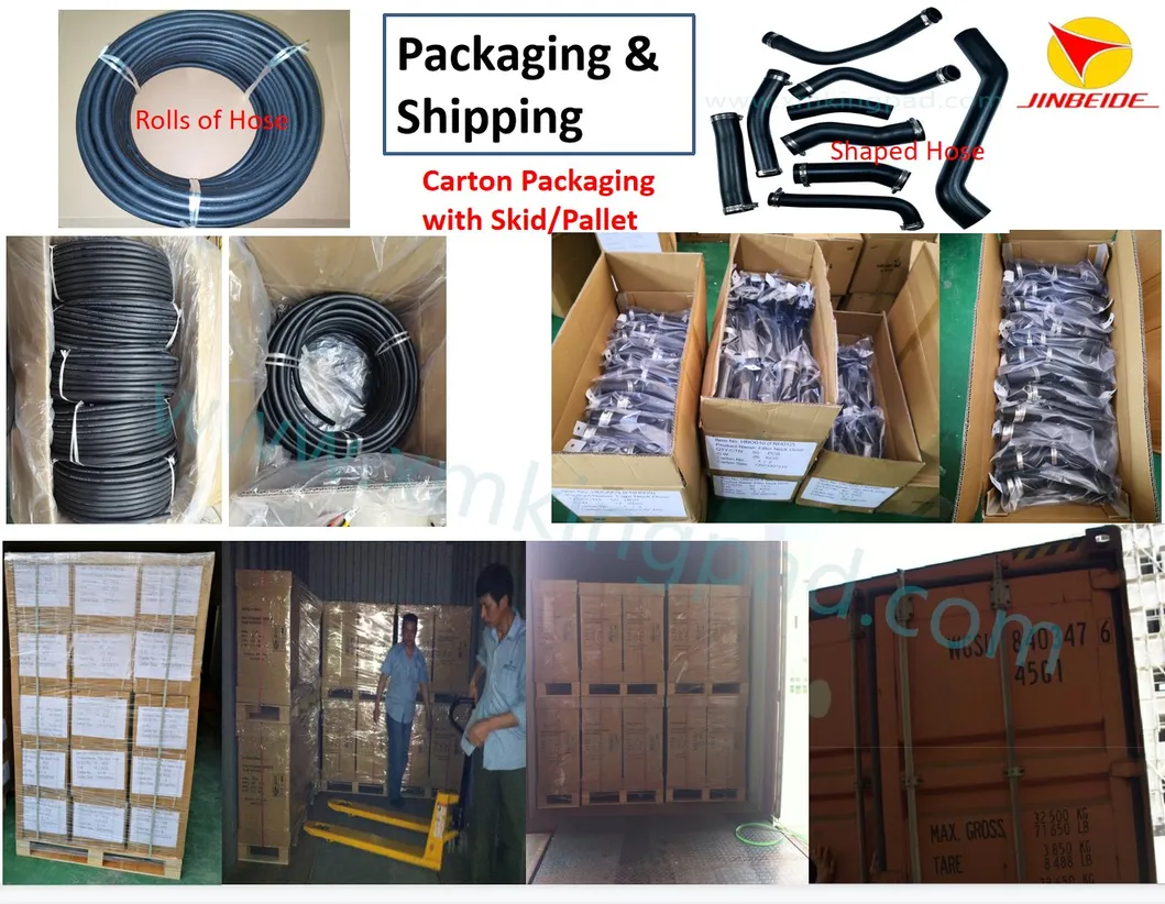 Package & Shipment