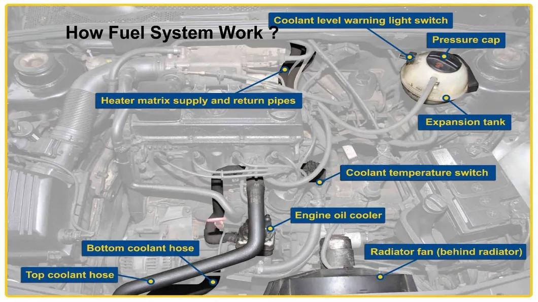 Oil Cooler Hose Detail 1