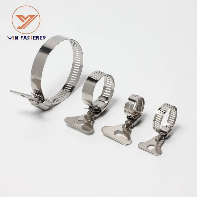 Hose Clamp Variety 2