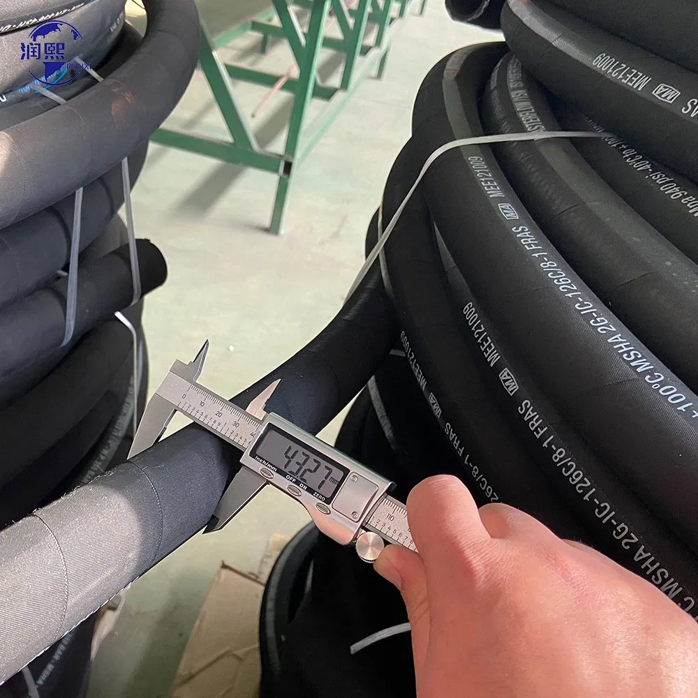 Hydraulic Hose Detail 2