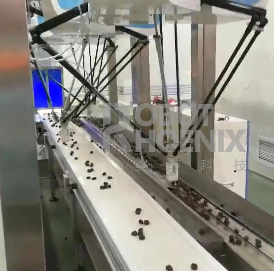 Automatic Delta Robot Case Packer for Food Grade Hygienic Lines