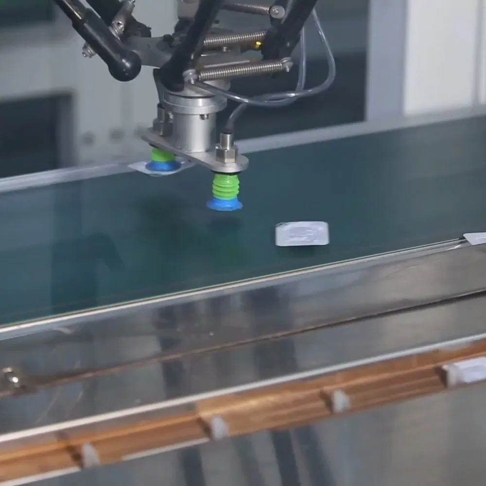 Robotic Case Packing Line for Frozen Pizza Boxes and Trays