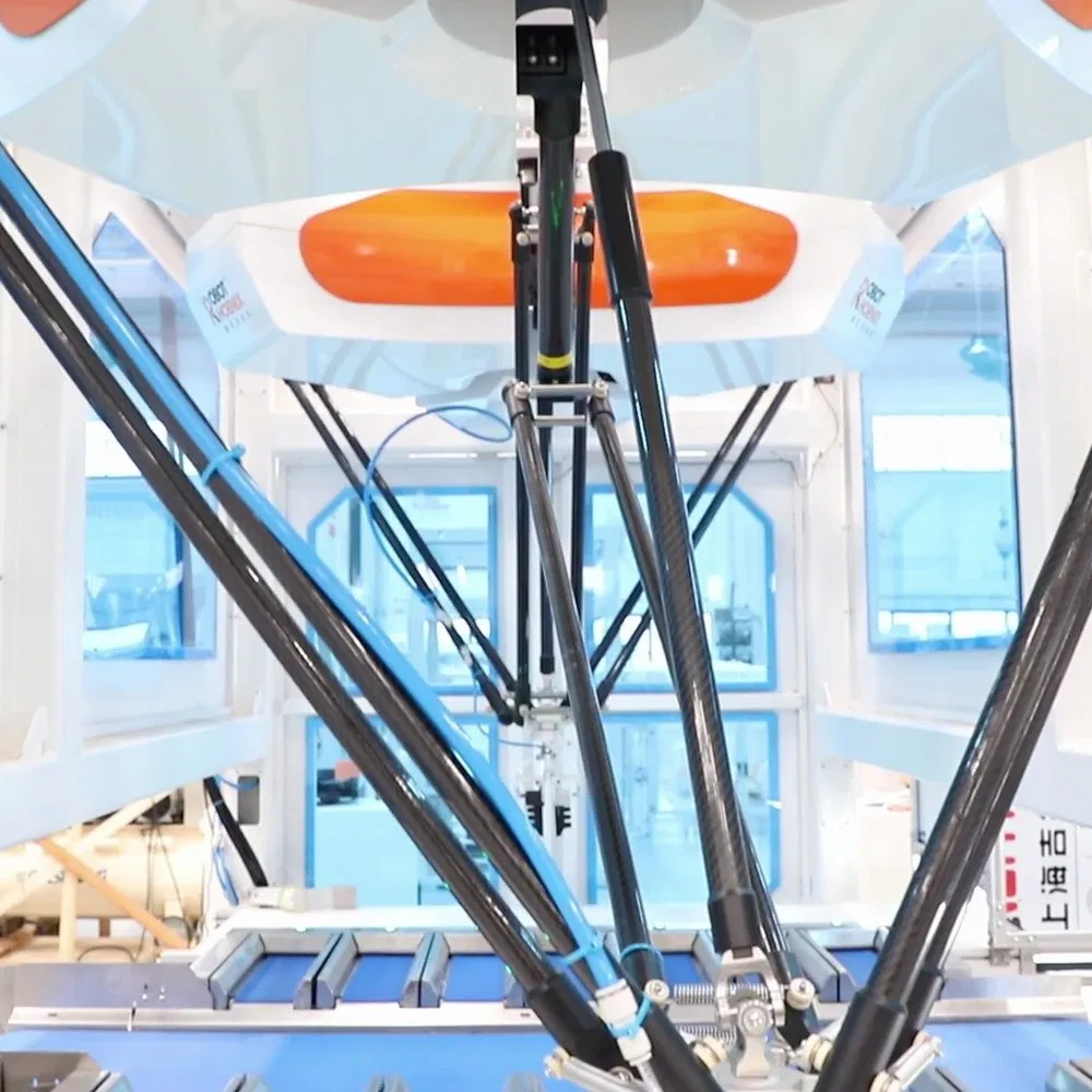 End-of-Line Delta Integrated Case Erector and Packer for Frozen Foods