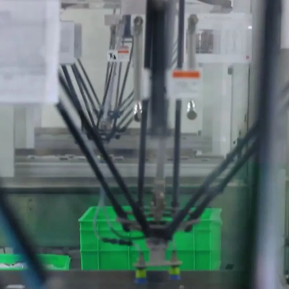 Robotic Case Packing Line for Frozen Pizza Boxes and Trays