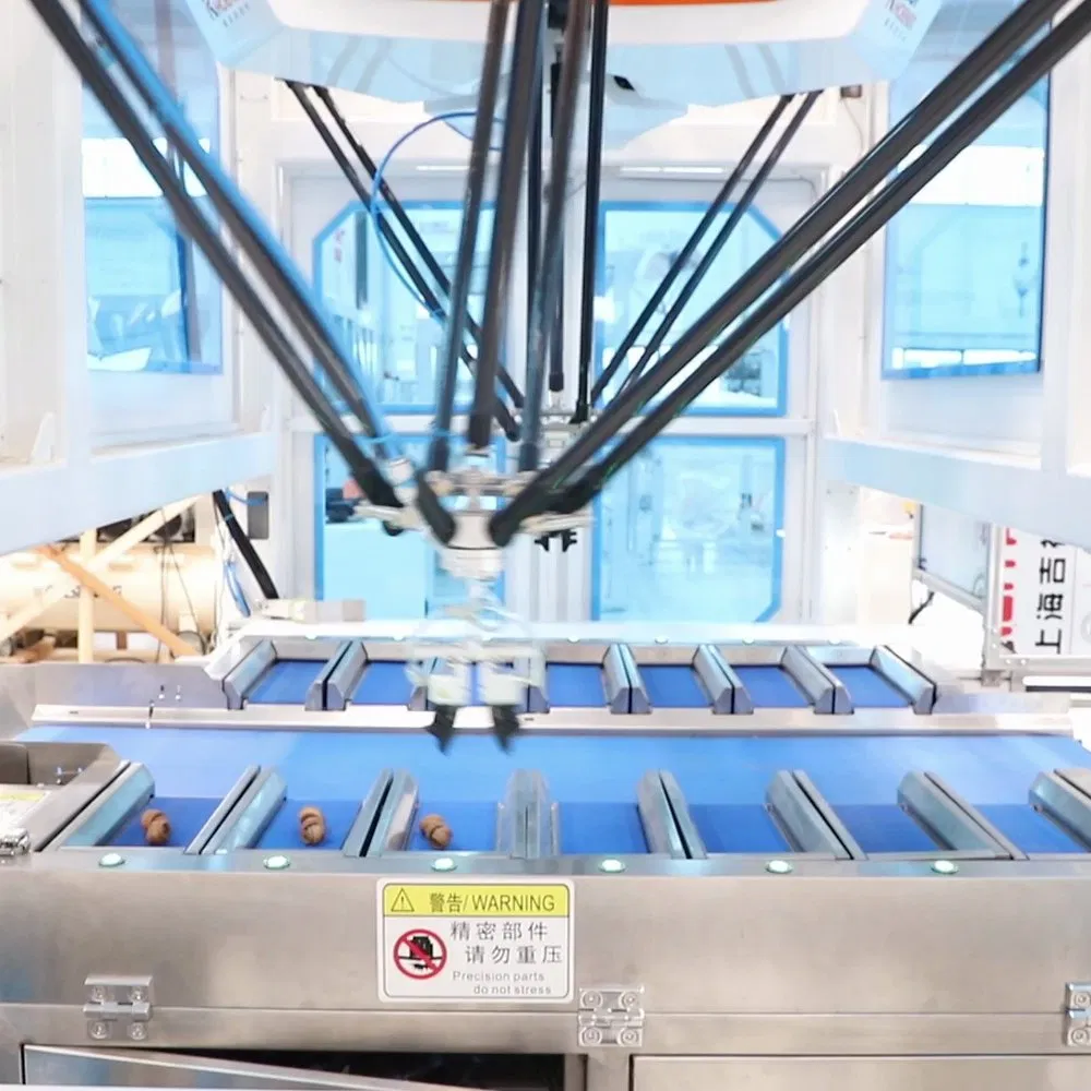 Modular Delta Robotic Case Packing Line for Frozen Pastry and Pies