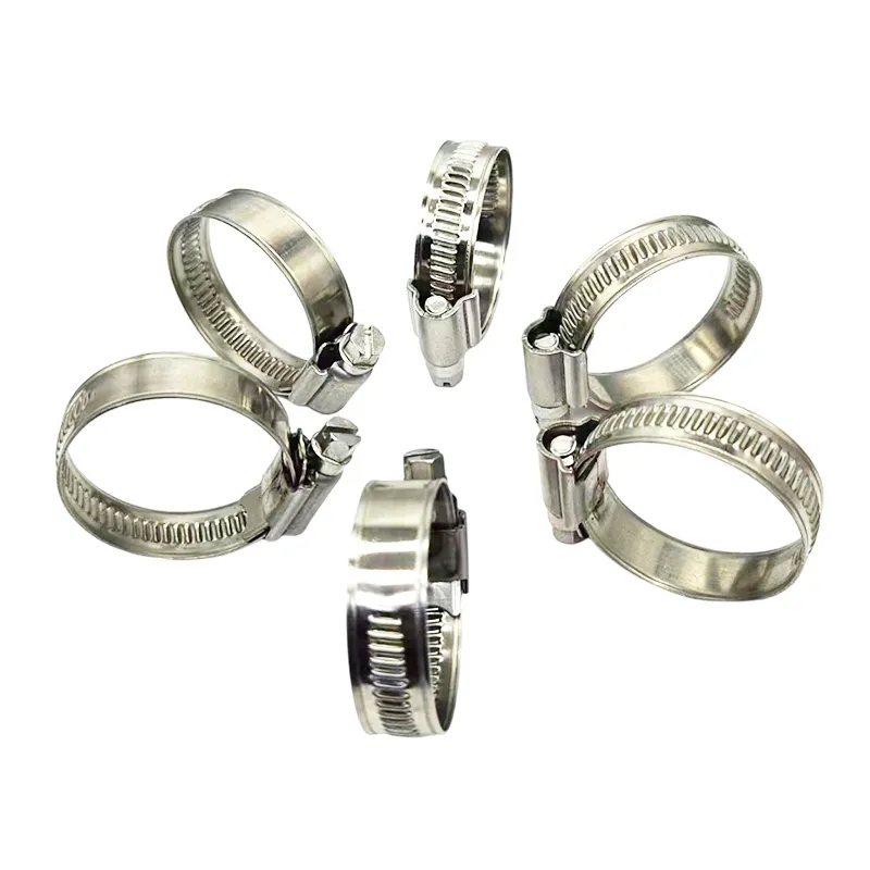 American Style Clamps, Suitable for New Energy Automotive Hose Clamp