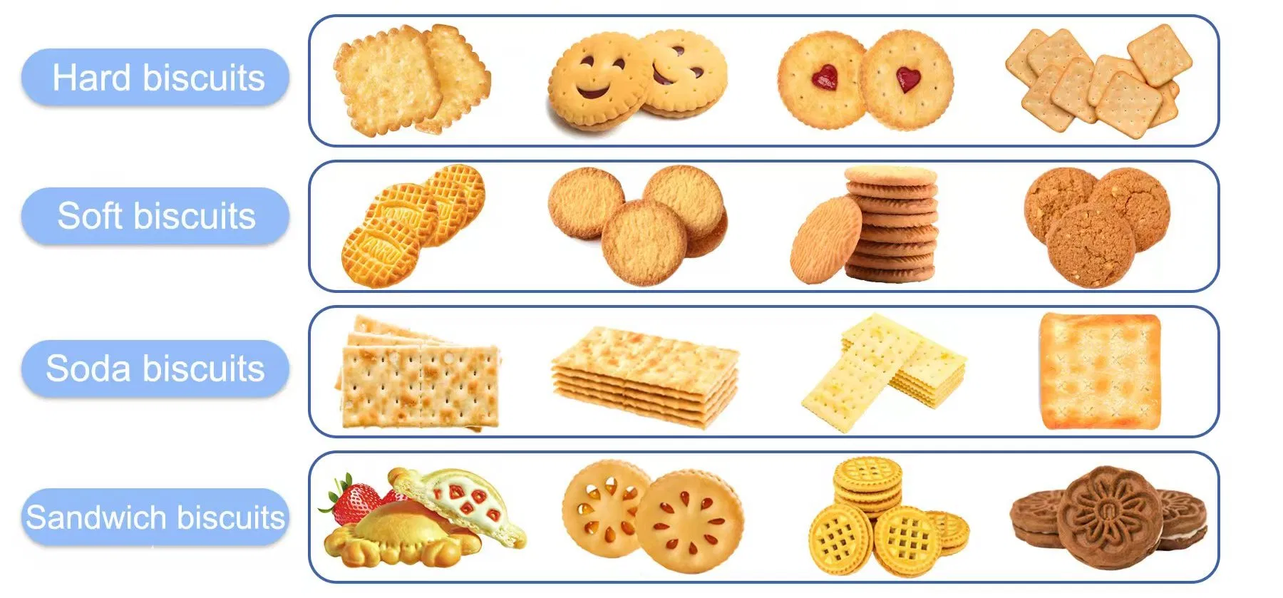 Biscuit Production Types
