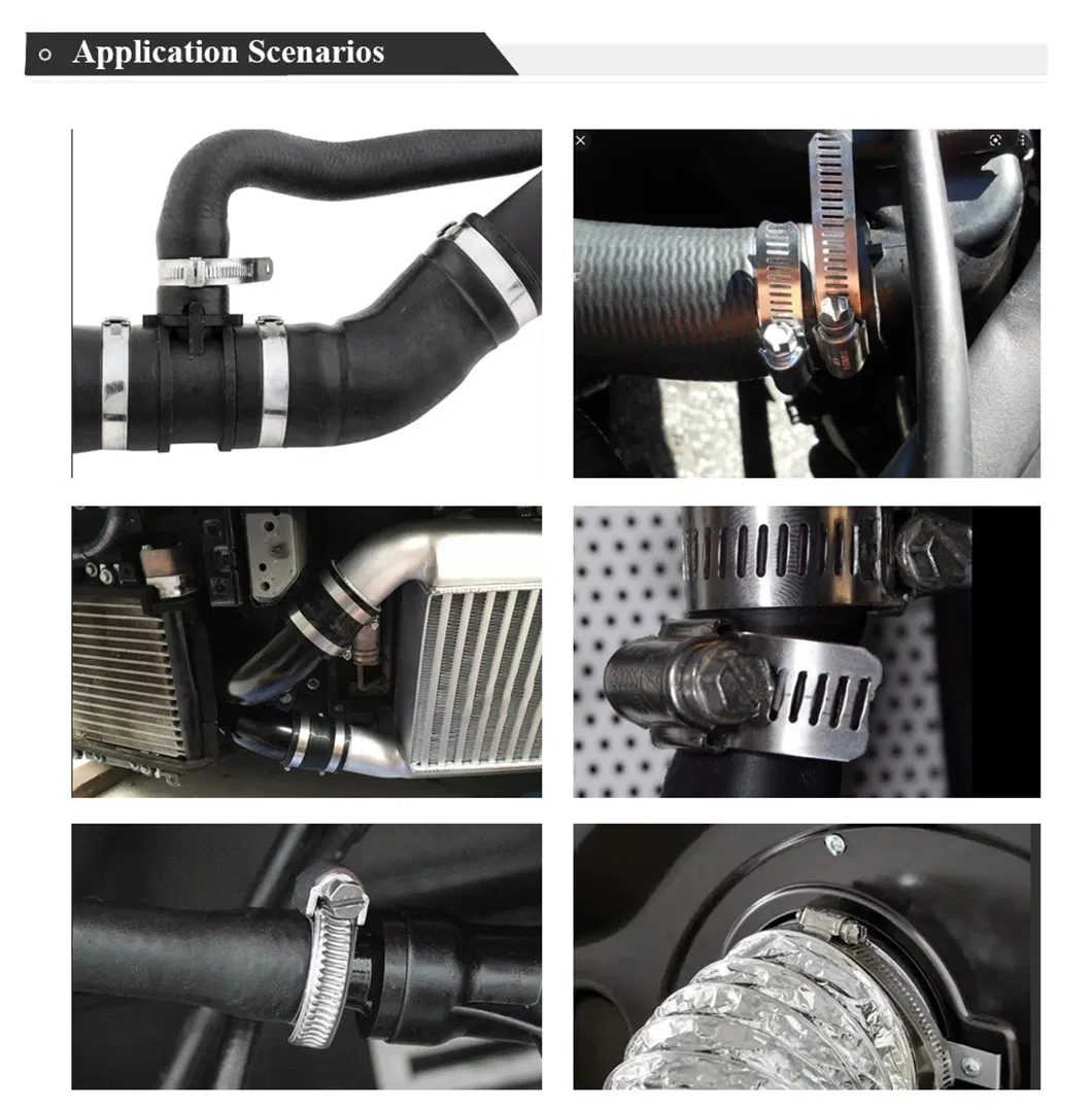 Worm Gear Hose Clamp 4