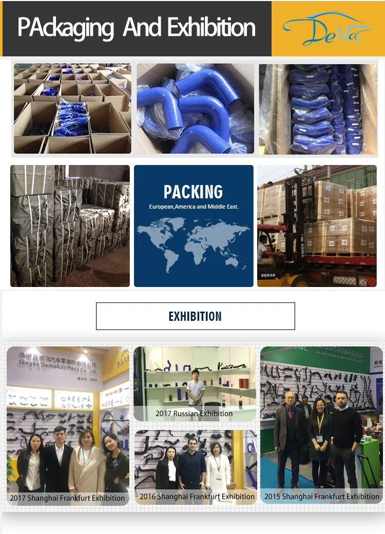 Silicone Vacuum Heater Hose 4