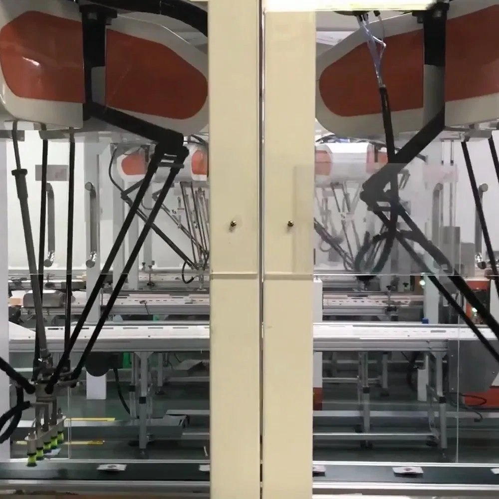 Robotic Case Packing Line for Frozen Pizza Boxes and Trays