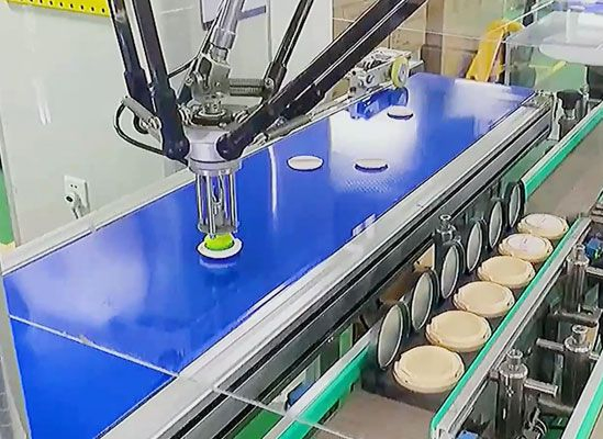 Automatic Delta Robot Case Packer for Food Grade Hygienic Lines