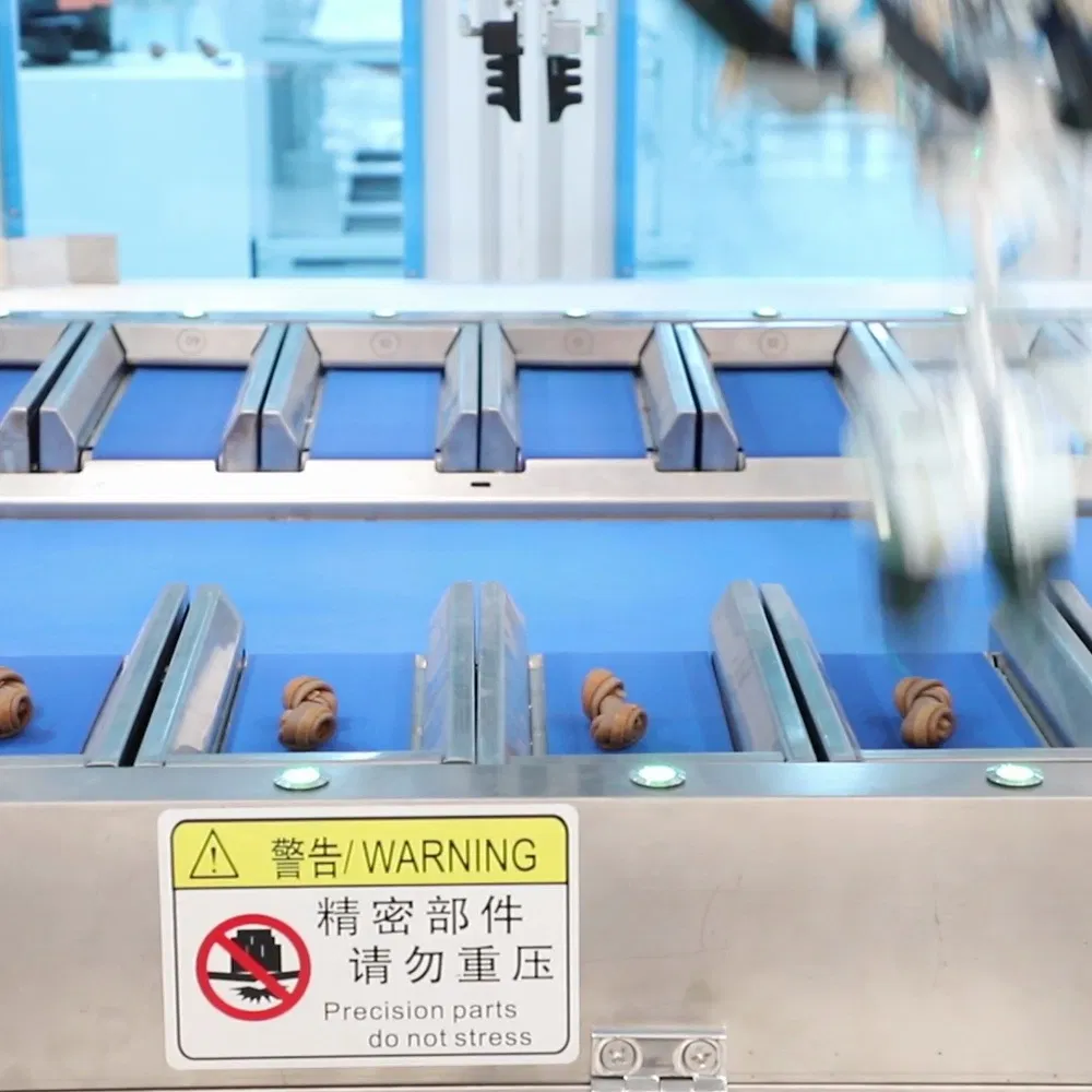 Modular Delta Robotic Case Packing Line for Frozen Pastry and Pies