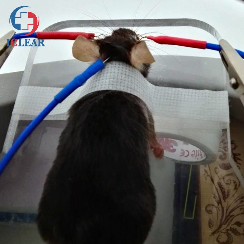 Scientific Research and Advanced Clinical Multifocal Visual Electrophysiology