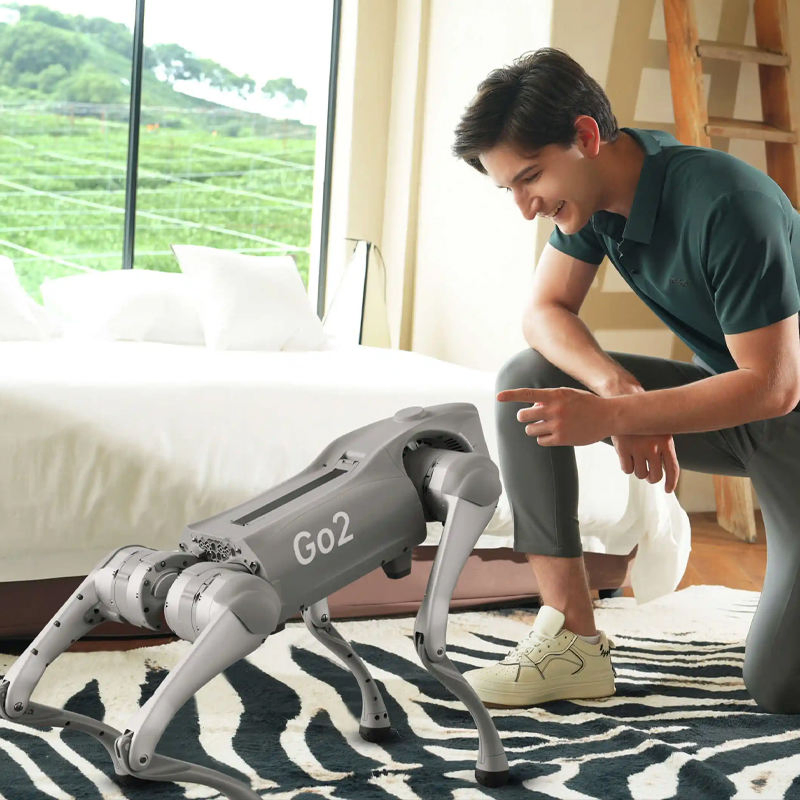 Unitree Go2 Edu: Ros-Powered Quadruped Robot for Algorithm Validation, Open-Source Ecosystem with Sdk for Reinforcement Learning