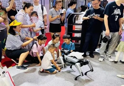 AI Emotional Companion