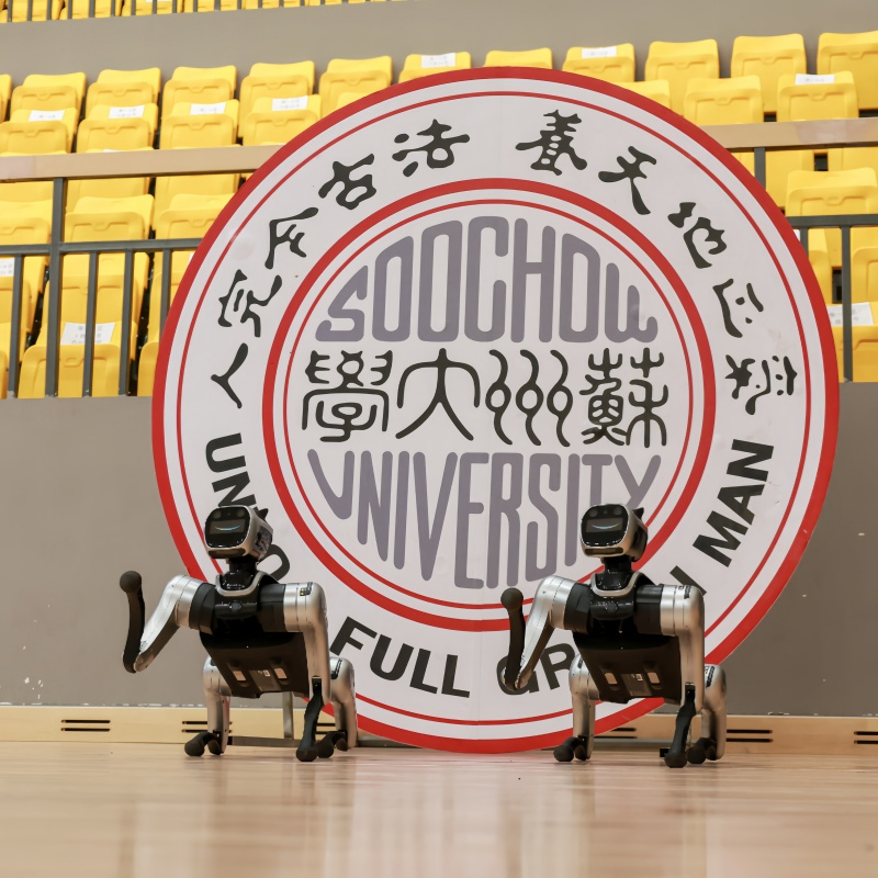 Remote Control Fast Charge Android Voice Control Four-Legged Programmable Robot Dog