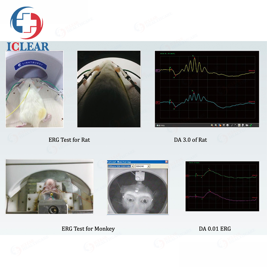 Scientific Research and Advanced Clinical Multifocal Visual Electrophysiology