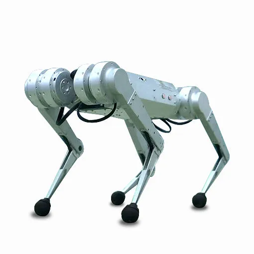 Robot Dog View 10