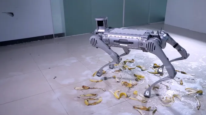 Environment Adaptability