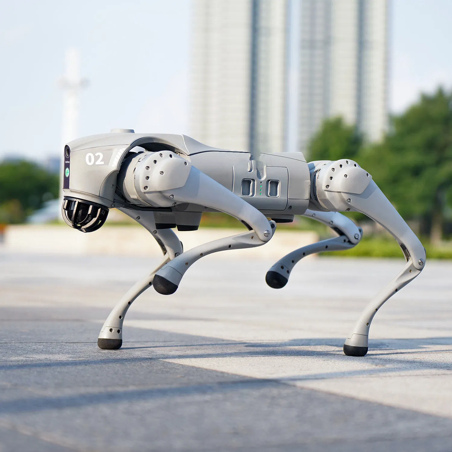 WiFi Intelligent Bionic Quadruped Mechanical Companion Robot Dog