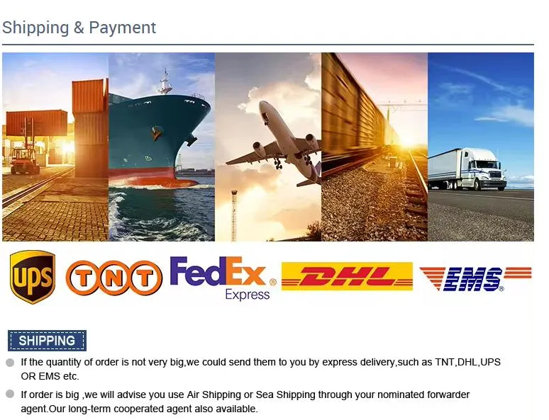 Full Robot Structure