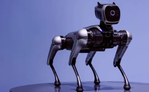 Robot Dog Mobility
