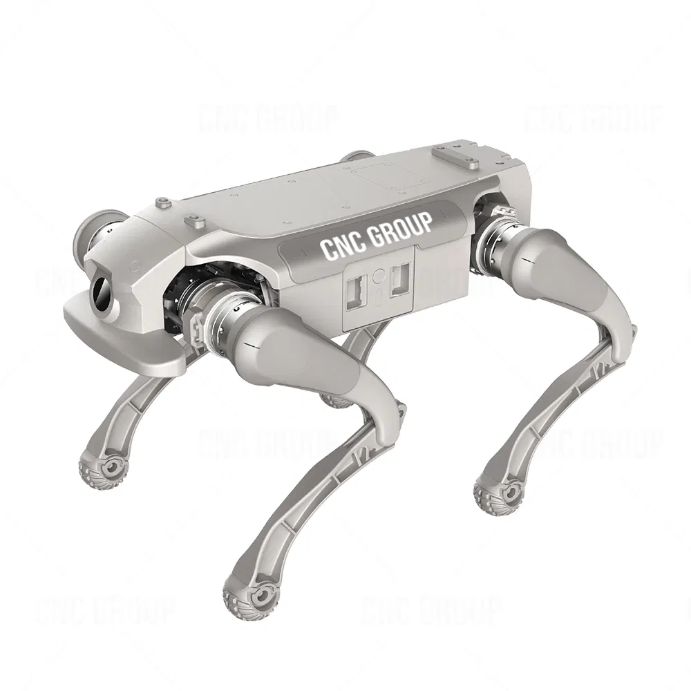 New Generation of Bionic Quadruped Robots